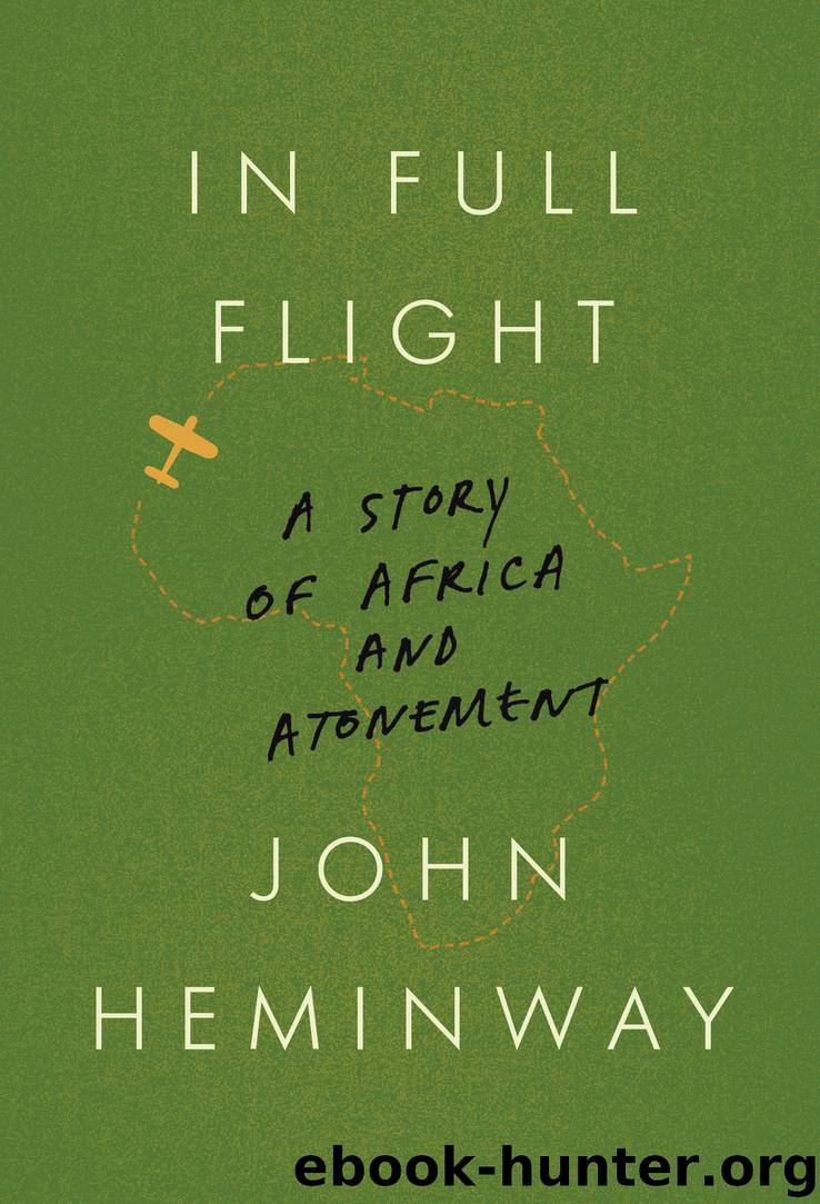 In Full Flight by John Heminway