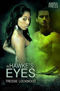 In Hawke's Eyes by Lockwood Tressie