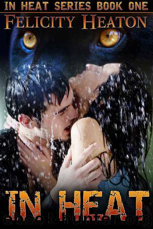 In Heat (In Heat Shapeshifter Romance Series #1) by Felicity Heaton