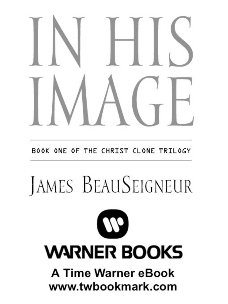 In His Image by James Beauseigneur