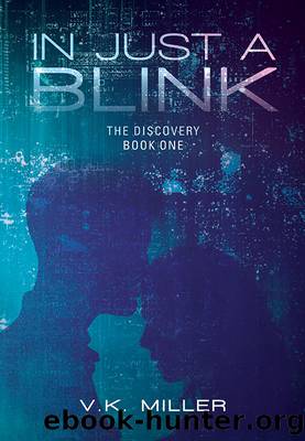 In Just a Blink by V.K. Miller