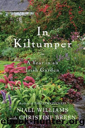 In Kiltumper by Niall Williams