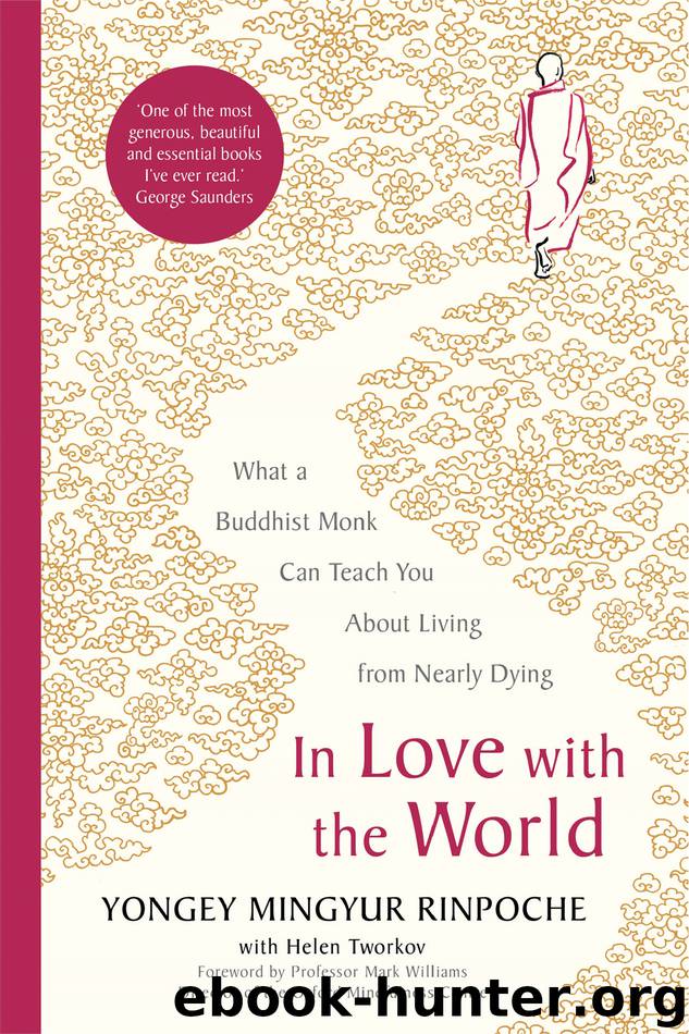 In Love With the World by Yongey Mingyur Rinpoche
