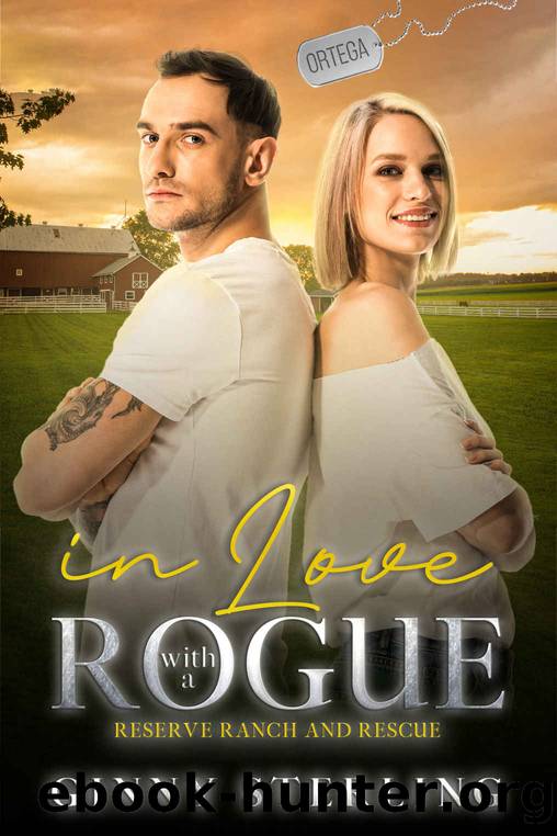 In Love with the Rogue by Sterling Ginny