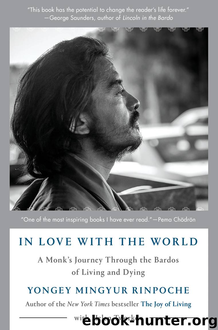 In Love with the World by Yongey Mingyur Rinpoche & Helen Tworkov