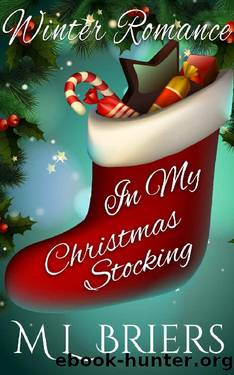 In My Christmas Stocking by M L Briers