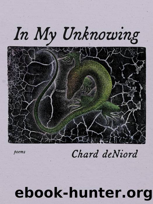 In My Unknowing : Poems by Chard deNiord