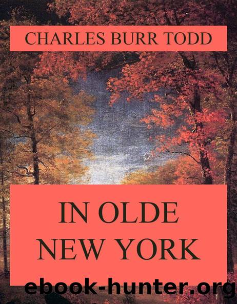 In Olde New York by Charles Burr Todd
