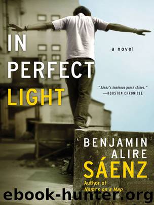 In Perfect Light by Benjamin Alire Saenz