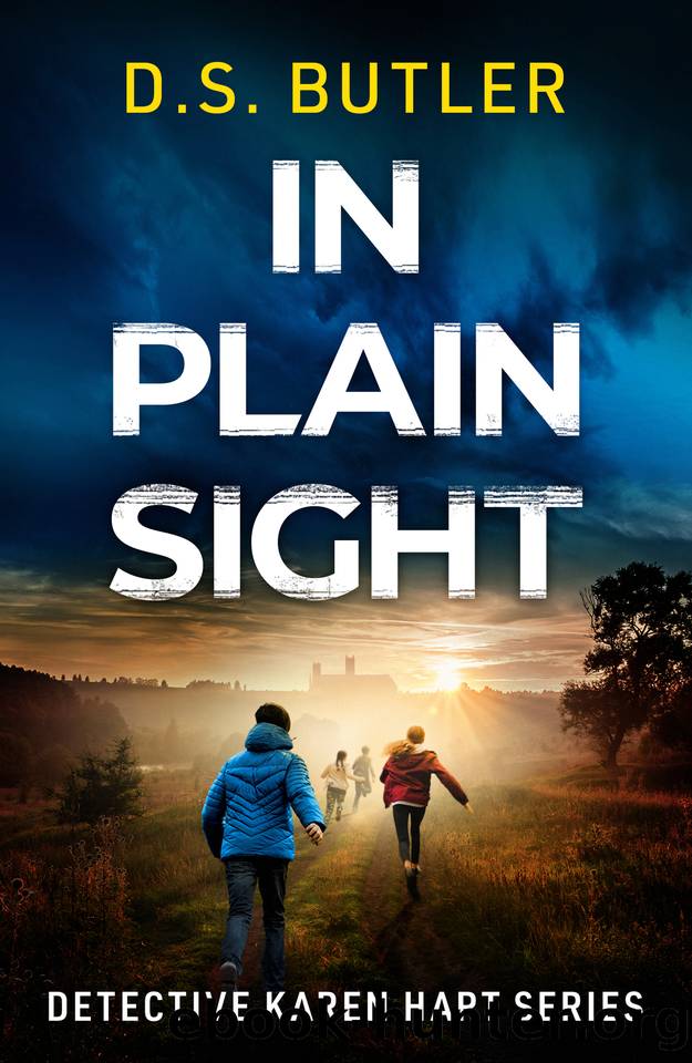 In Plain Sight (Detective Karen Hart) by D. S. Butler