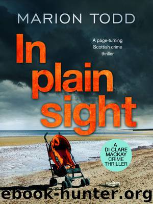 In Plain Sight by In Plain Sight (epub)