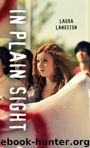 In Plain Sight by Laura Langston
