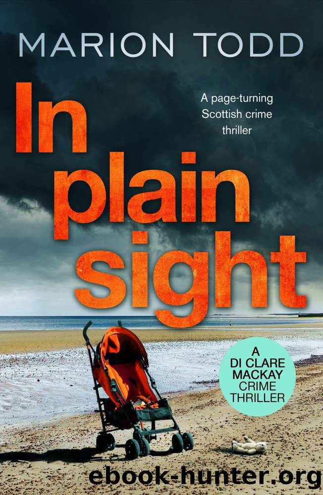 In Plain Sight by Marion Todd