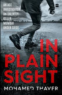 In Plain Sight by Mohamed Thaver
