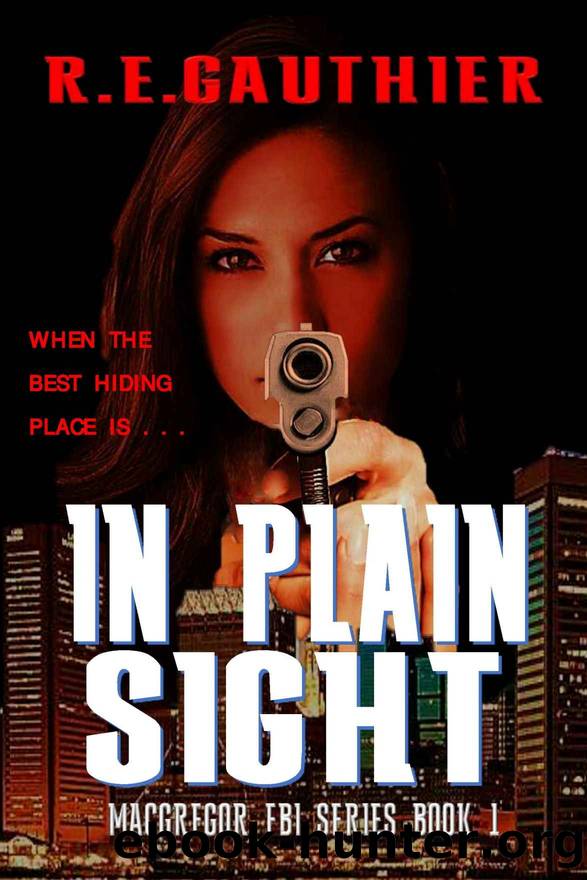 In Plain Sight by R E Gauthier
