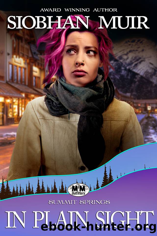In Plain Sight: A Summit Springs Novel by Siobhan Muir