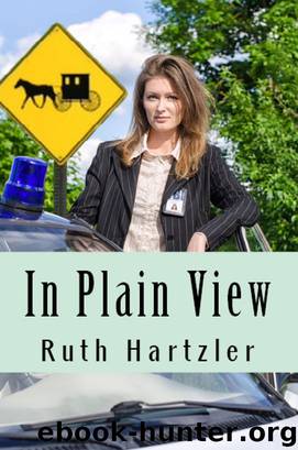 In Plain View (Amish Safe House, Book 2) by Ruth Hartzler