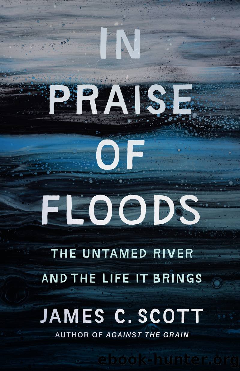In Praise of Floods by James C. Scott