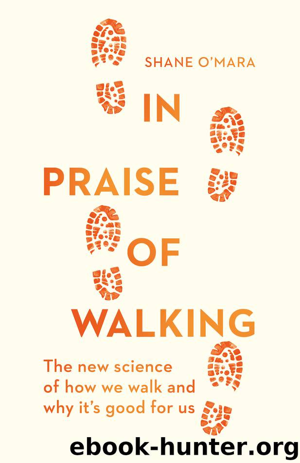 In Praise of Walking by Shane O'Mara