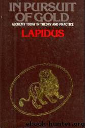 In Pursuit Of Gold: Alchemy In Theory And Practice by Lapidus