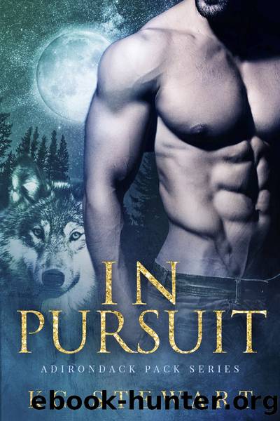 In Pursuit by K.C. Stewart
