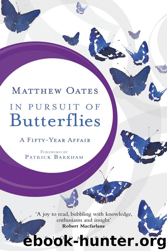 In Pursuit of Butterflies by Matthew Oates