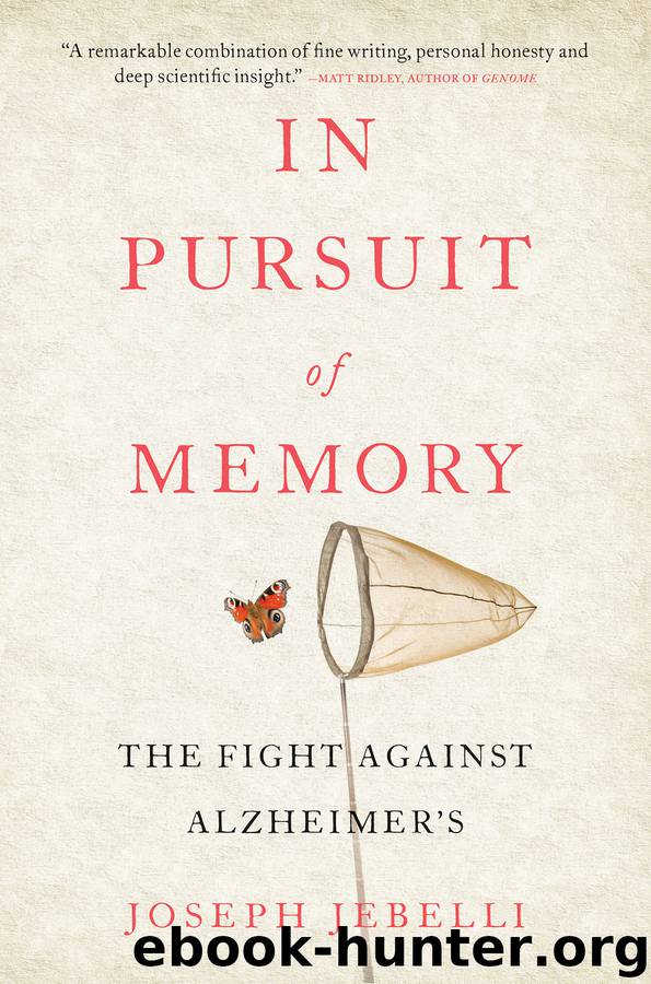 In Pursuit of Memory by Joseph Jebelli