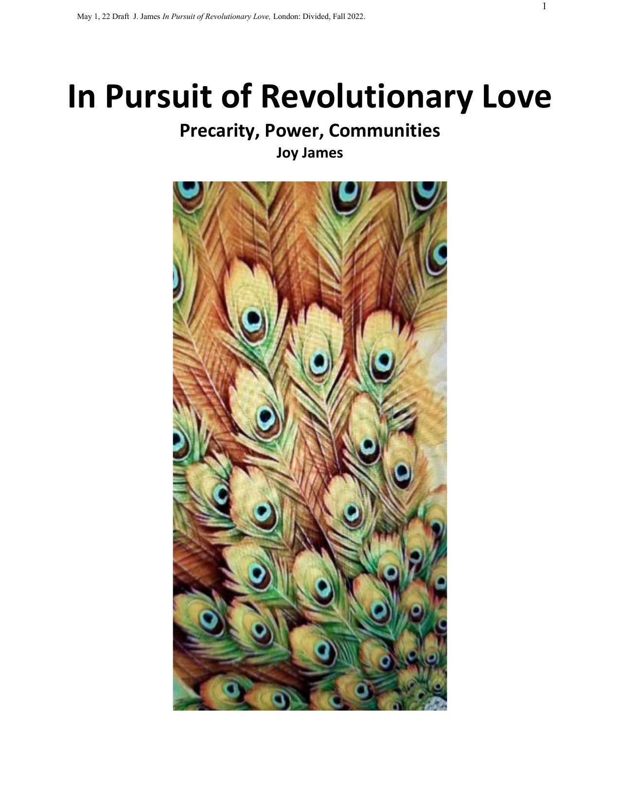 In Pursuit of Revolutionary Love: Precarity, Power, Communities by Joy James