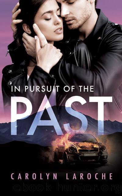 In Pursuit of the Past by Carolyn LaRoche