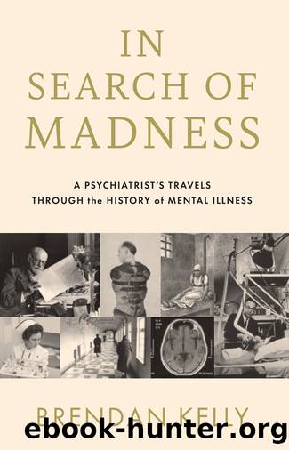 In Search of Madness by Brendan Kelly