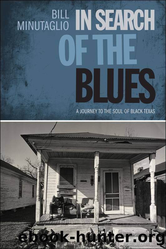 In Search of the Blues: A Journey to the Soul of Black Texas by Bill Minutaglio