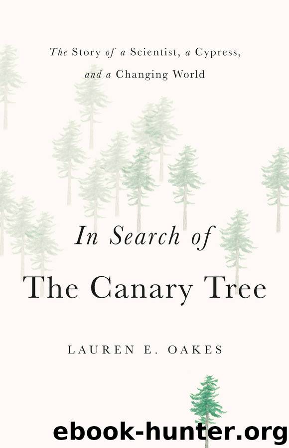 In Search of the Canary Tree by Lauren E. Oakes