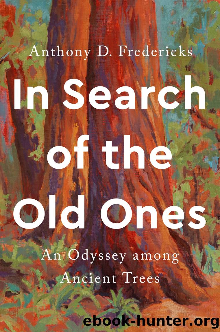 In Search of the Old Ones by Anthony D. Fredericks