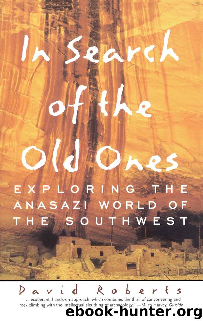 In Search of the Old Ones by David Roberts
