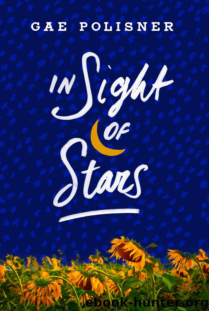 In Sight of Stars by Gae Polisner