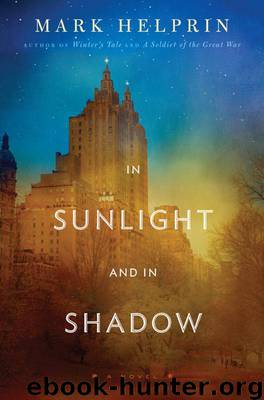 In Sunlight and In Shadow by Mark Helprin
