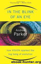 In The Blink Of An Eye by Andrew Parker