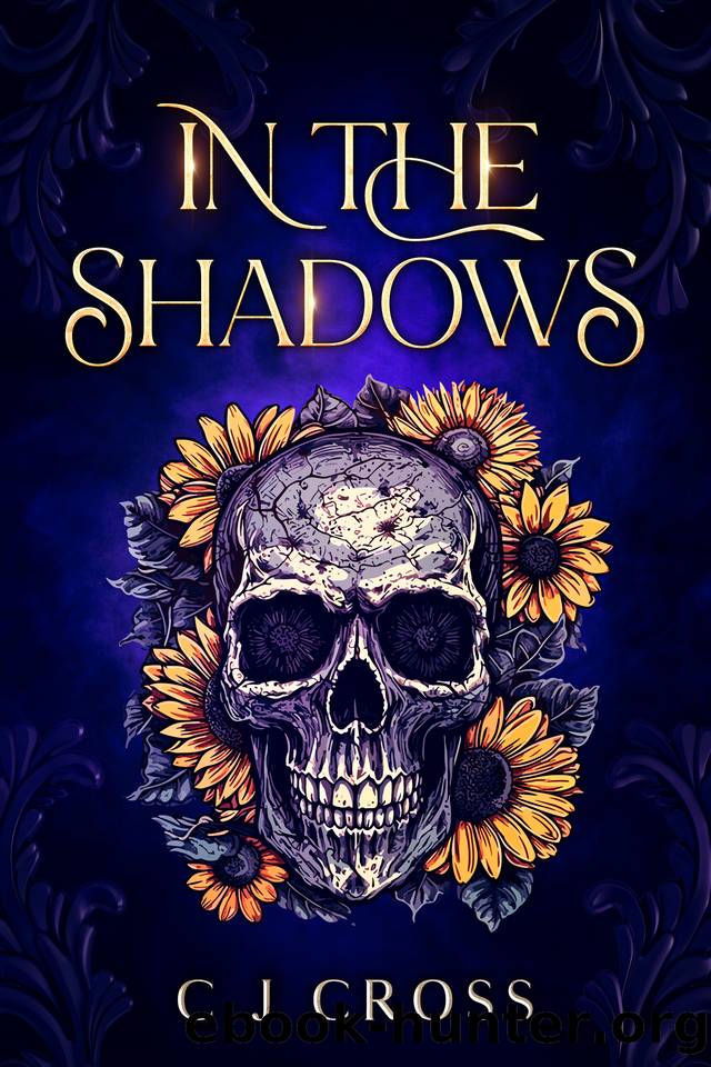 In The Shadows (The Prophecy Of Darkness And Light Book 1) by C J Cross