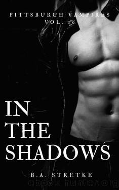 In The Shadows: Pittsburgh Vampires Vol. 16 by B.A. Stretke