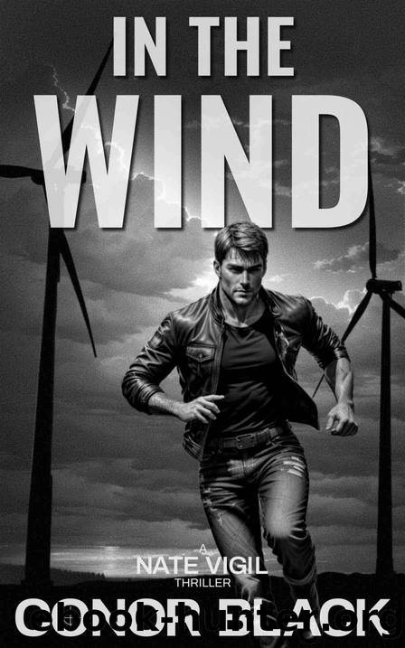 In The Wind (The Nate Vigil Thrillers Book 1) by Conor Black