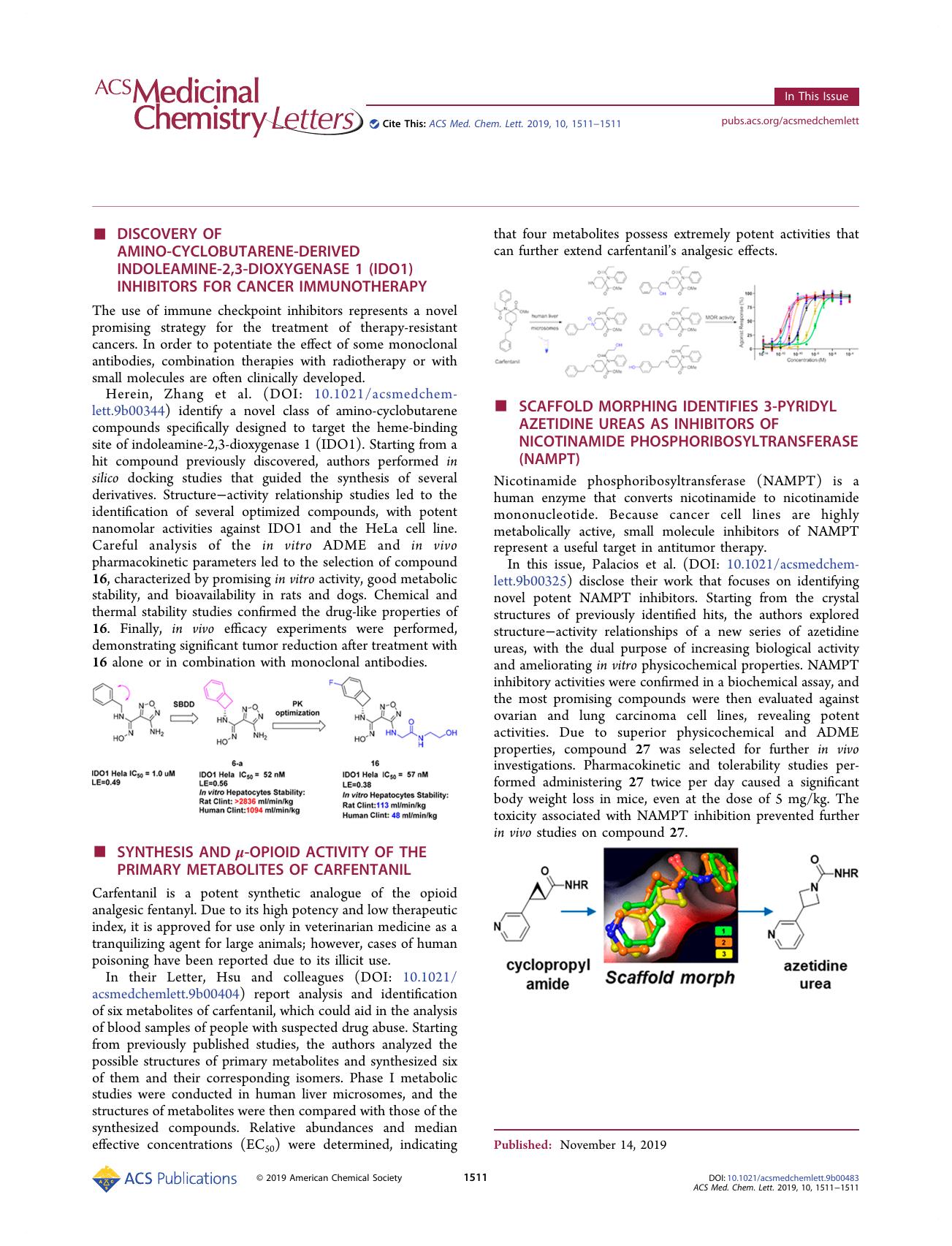 In This Issue, Volume 10, Issue 11 by Annalaura Brai