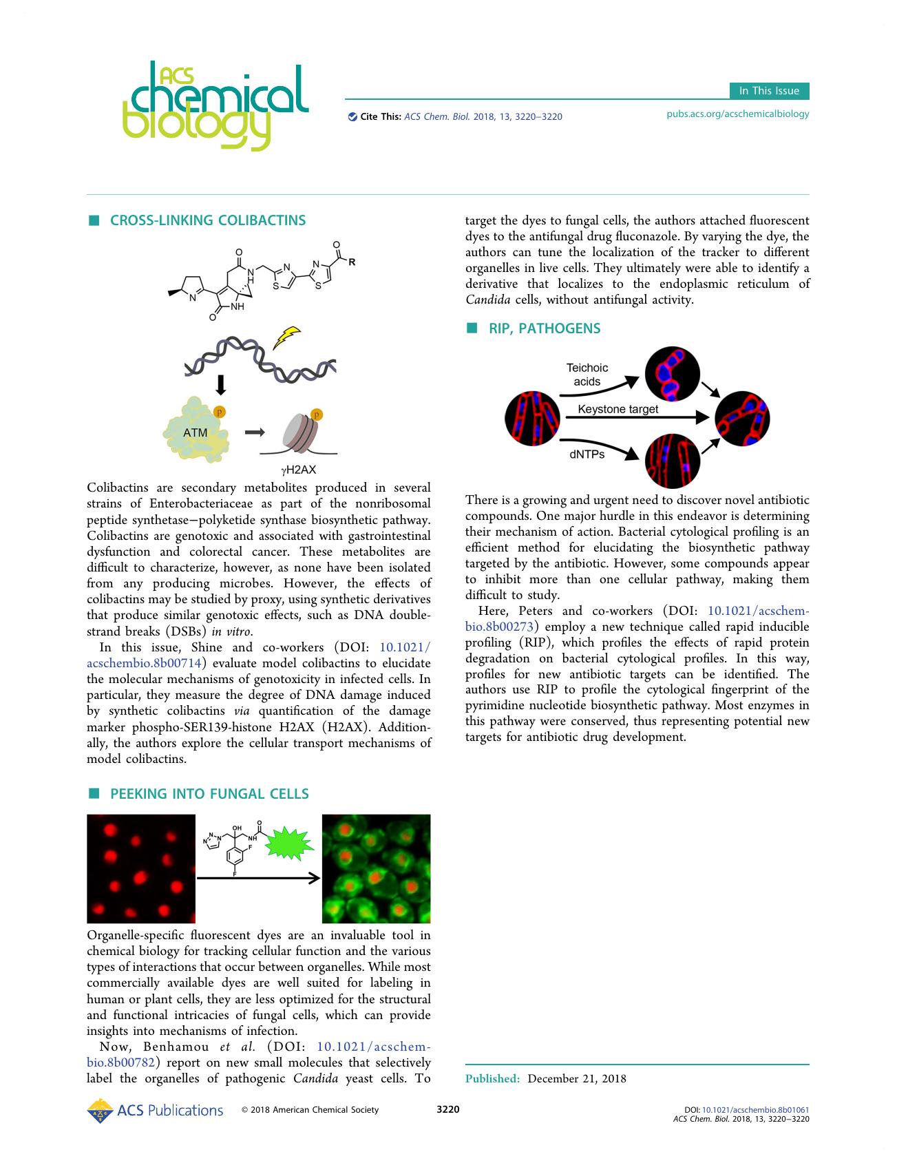 In This Issue, Volume 13, Issue 12 by Alyson Weidmann