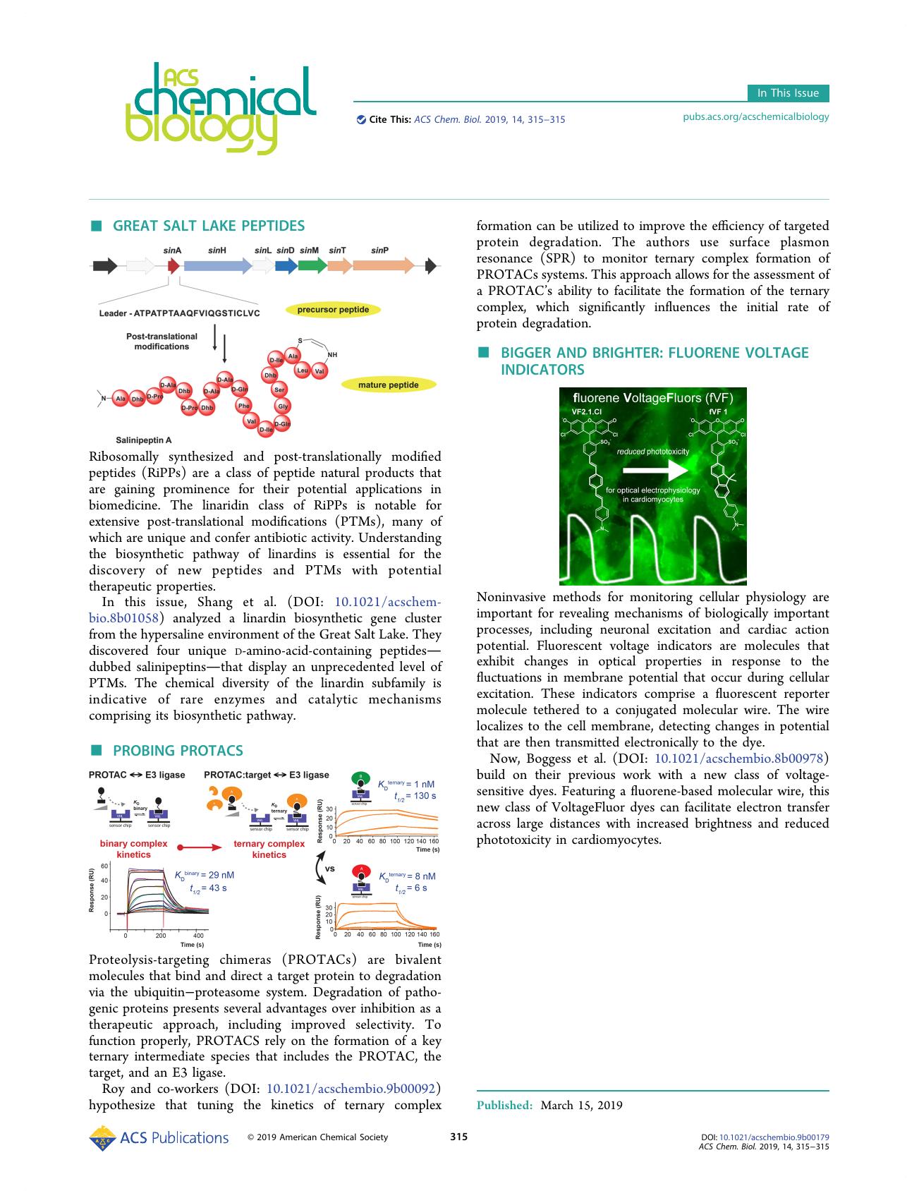 In This Issue, Volume 14, Issue 3 by Alyson Weidmann