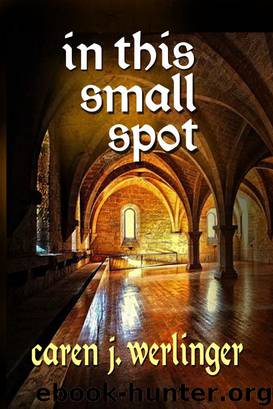 In This Small Spot by Caren Werlinger