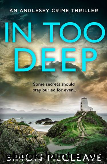 In Too Deep by Simon McCleave