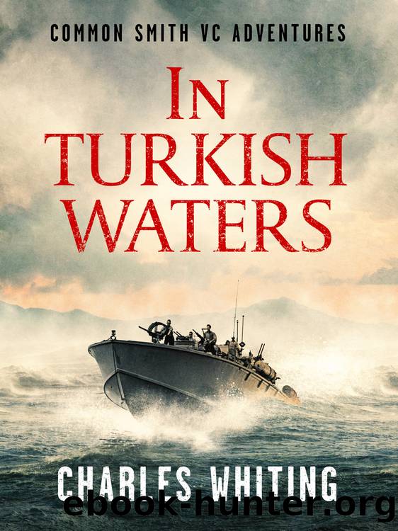 In Turkish Waters by Charles Whiting