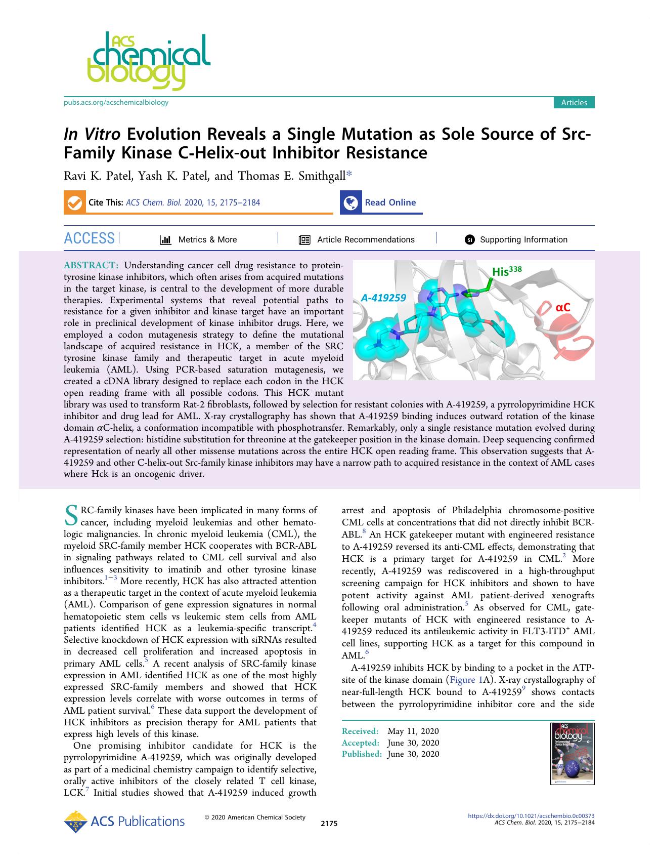 In Vitro Evolution Reveals a Single Mutation as Sole Source of Src-Family Kinase C-Helix-out Inhibitor Resistance by Ravi K. Patel Yash K. Patel and Thomas E. Smithgall