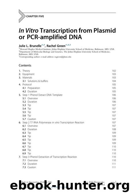 In Vitro Transcription from Plasmid or PCR-amplified DNA by Julie L. Brunelle & Rachel Green