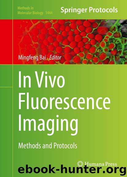 In Vivo Fluorescence Imaging by Mingfeng Bai