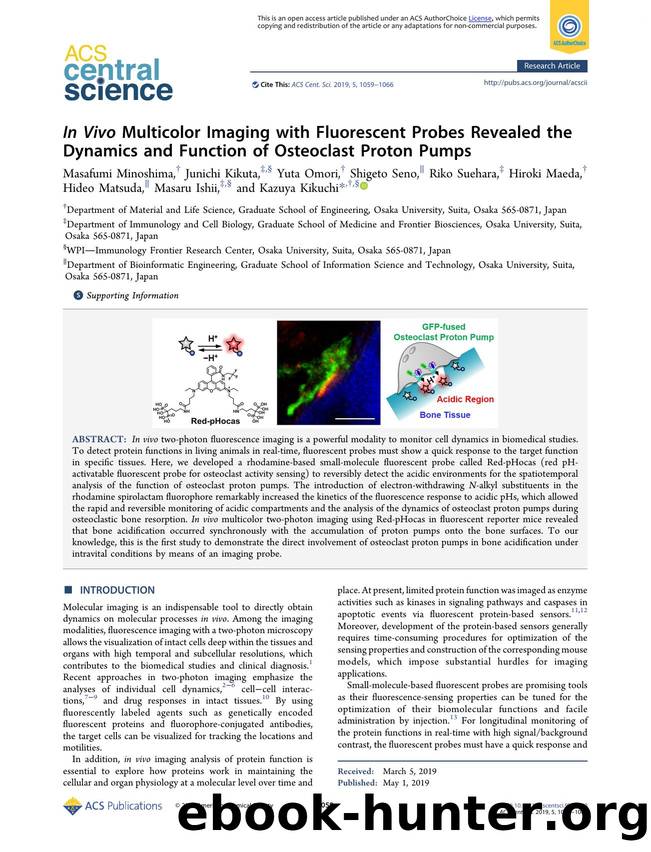 In Vivo Multicolor Imaging with Fluorescent Probes Revealed the Dynamics and Function of Osteoclast Proton Pumps by unknow